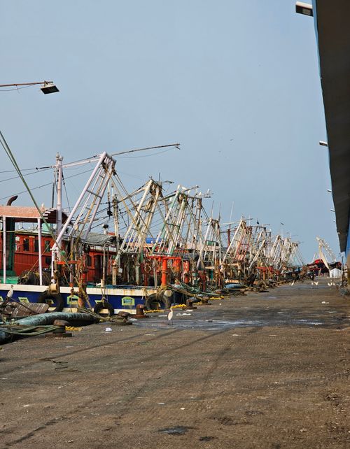 Free Fishing boats lined up at a harbor, showcasing the maritime industry and coastal life. Stock Photo