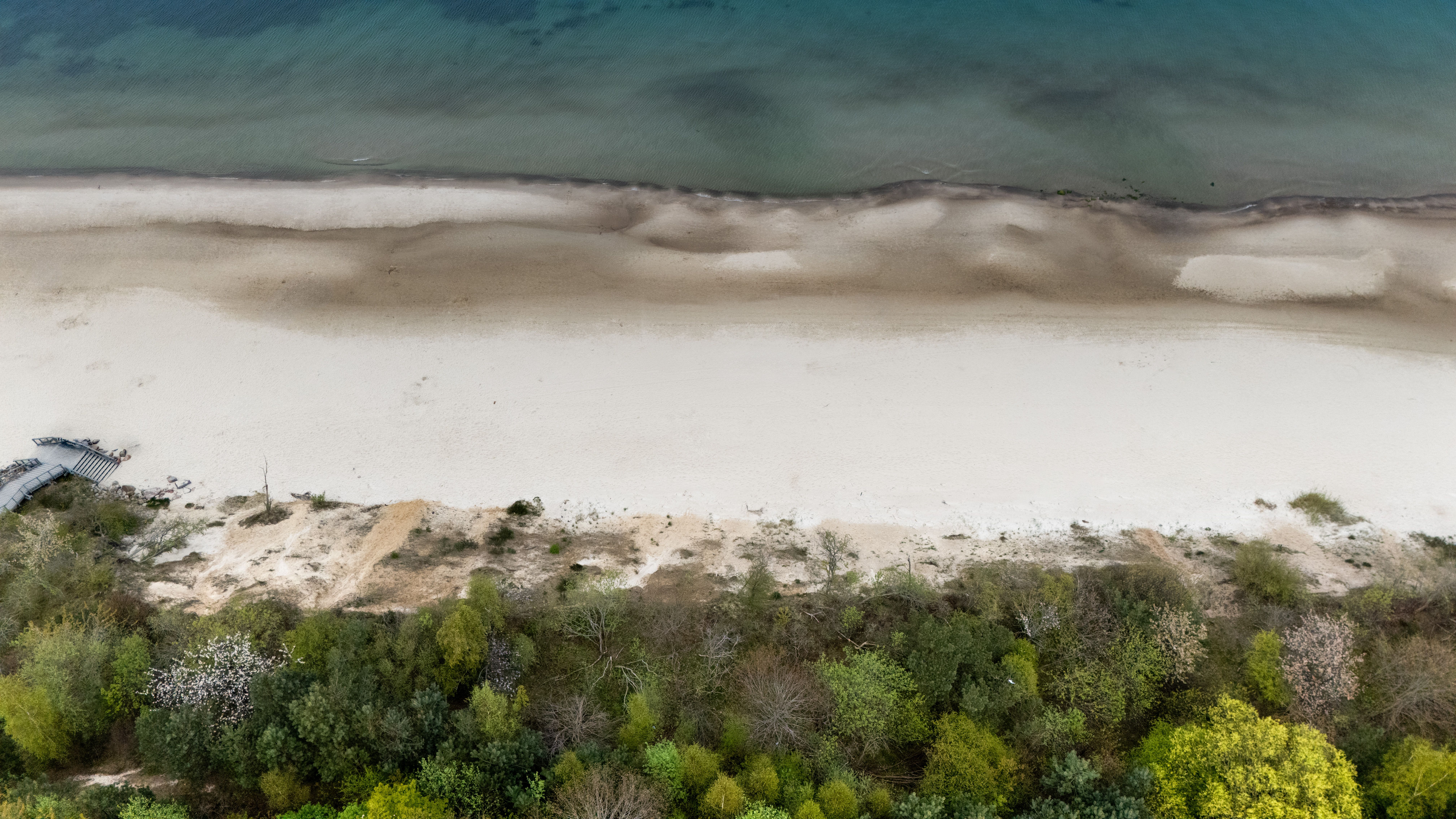 Drone shot of Chłapowo's pristine beach along the Polish coast with lush greenery. — Trójmiasto