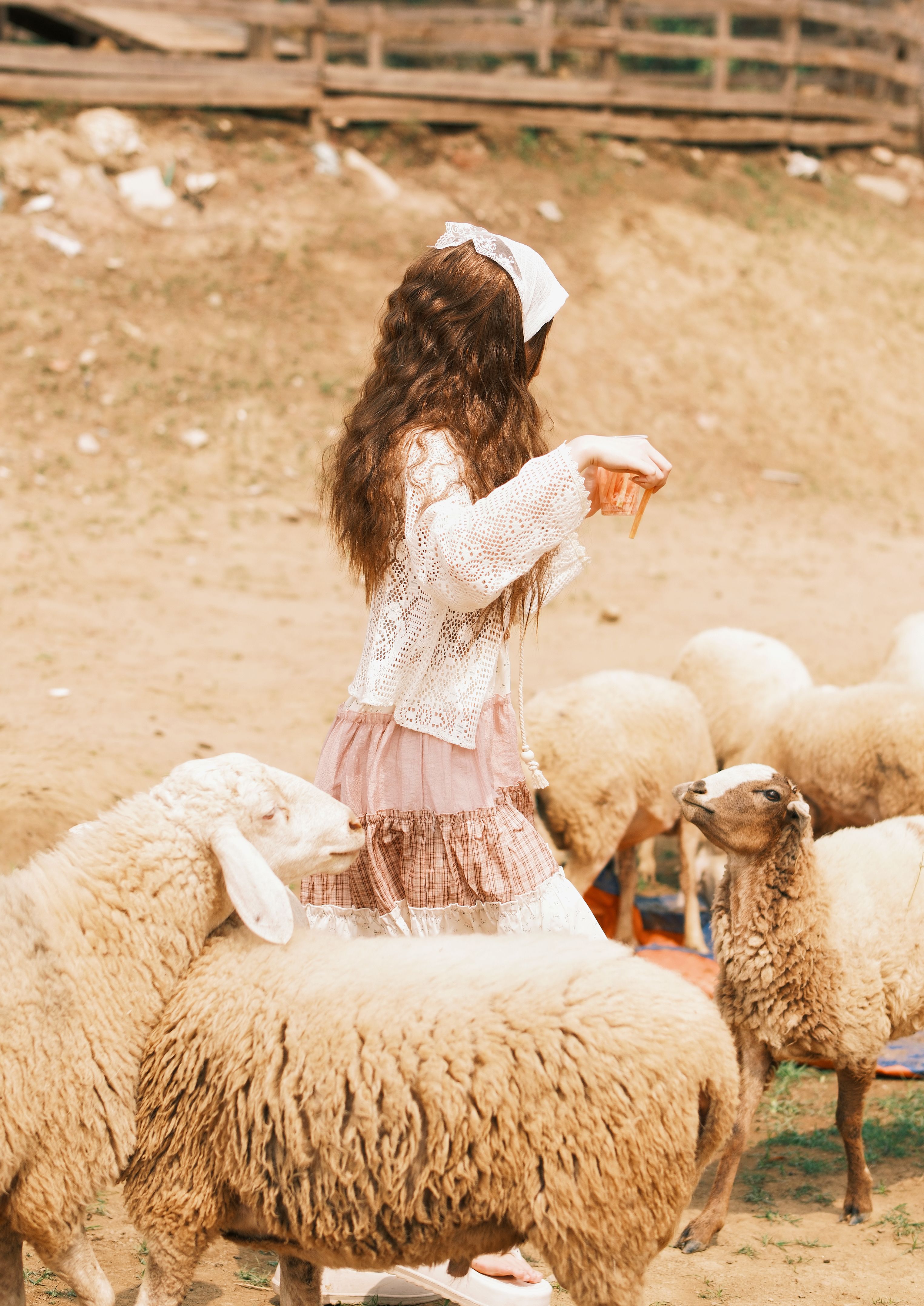 Photo by TBD Tuyên on pexels