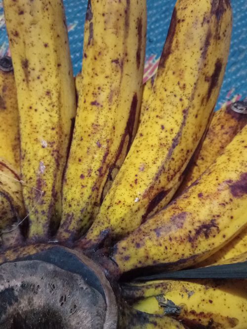 Free banana Stock Photo