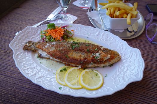 Trout Fish
