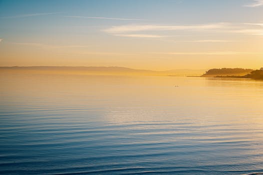 日落时分，宁静的湖泊映照着金色的色调，与晴朗的天空一同构成了一幅宁静的风景