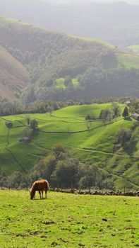 Idyllic landscape of a lush green valley with a lone horse grazing, surrounded by mountains and stone cottages in Spain.