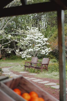 Serene garden scene with wooden benches and blooming tree, ideal for relaxation.
