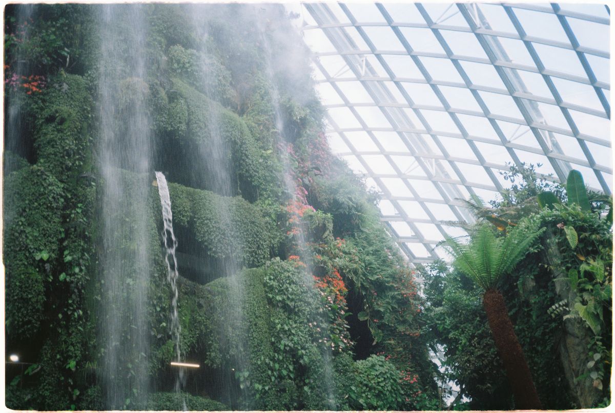 Gardens by the Bay