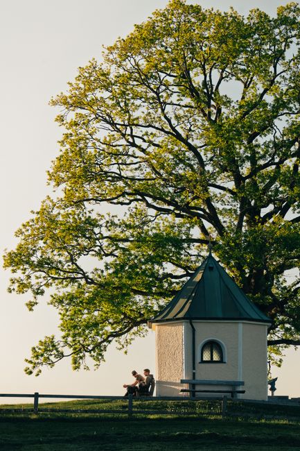 Serene scene with people relaxing by a large tree and gazebo at sunset in a park.