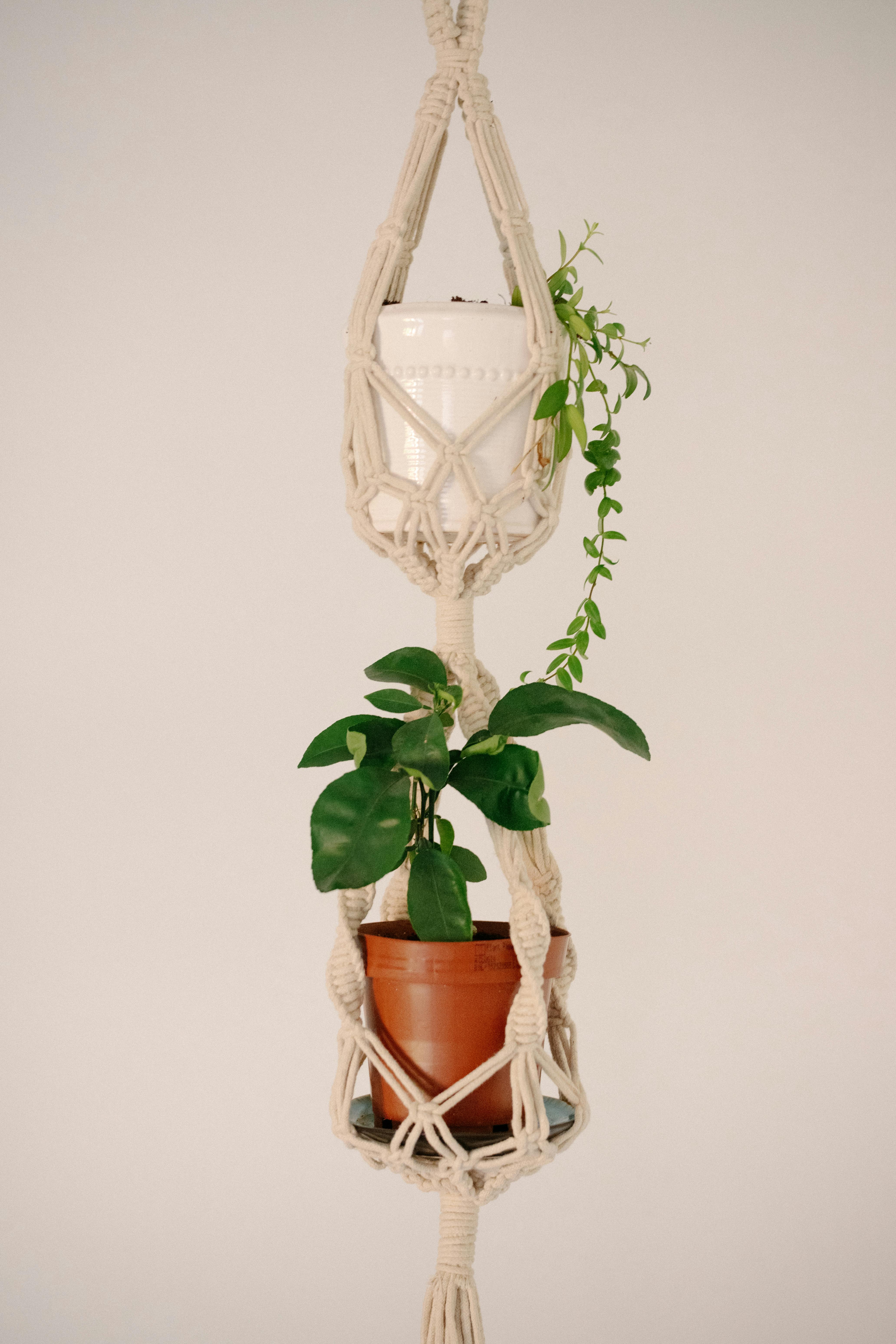 The 9 Best Macrame Plant Hanger Pattern 2026: Review & Comparison