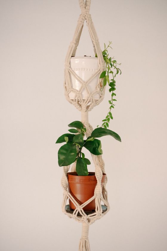 Hand-knotted cotton plant hanger holding a terracotta pot — Raymond Petrik on Pexels