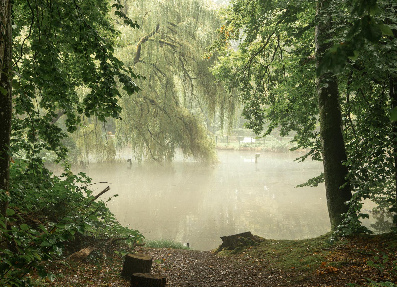 Granny+Bend+Over Photos, Download The BEST Free Granny+Bend+Over Stock