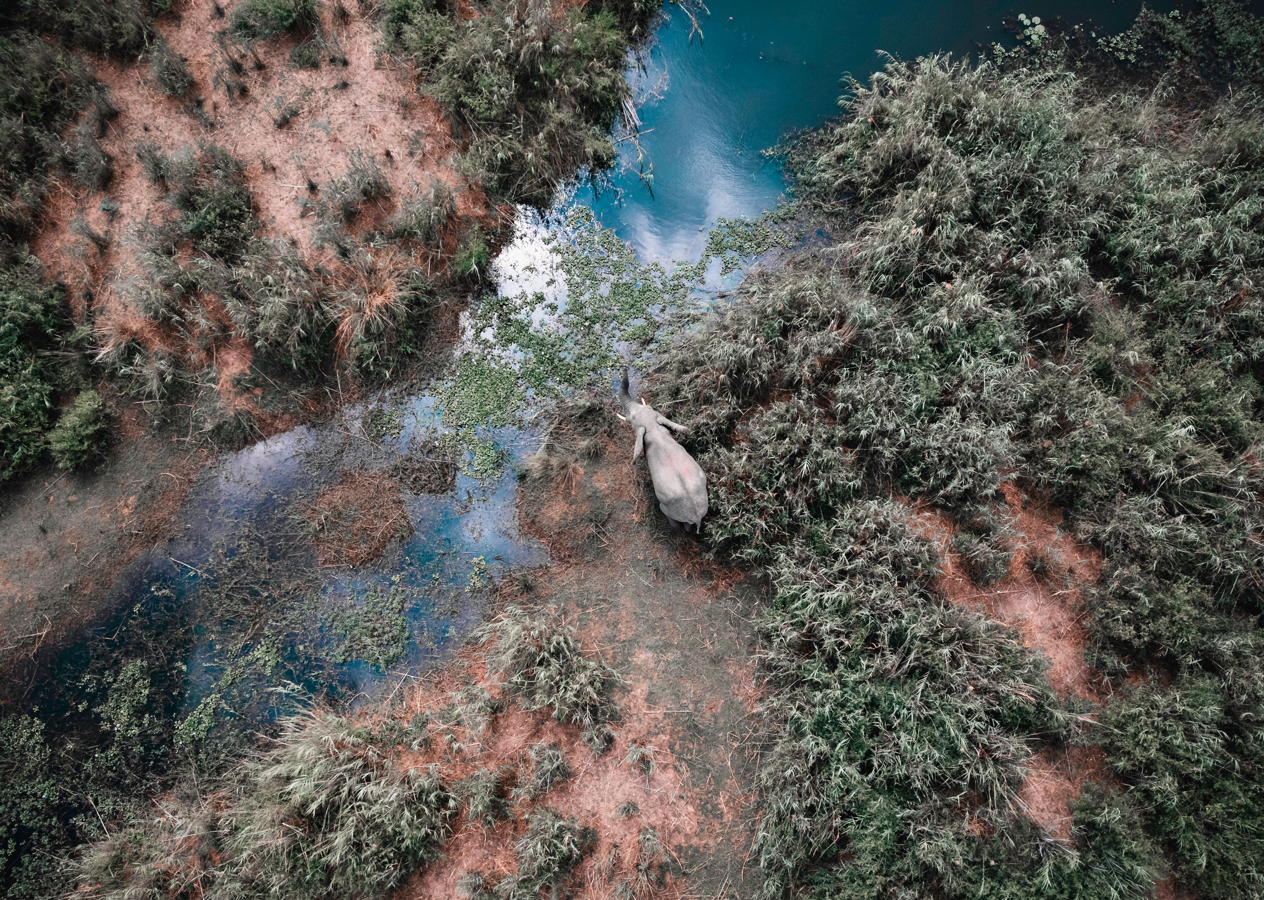 Zambezi Spectacular helicopter flight over Victoria Falls