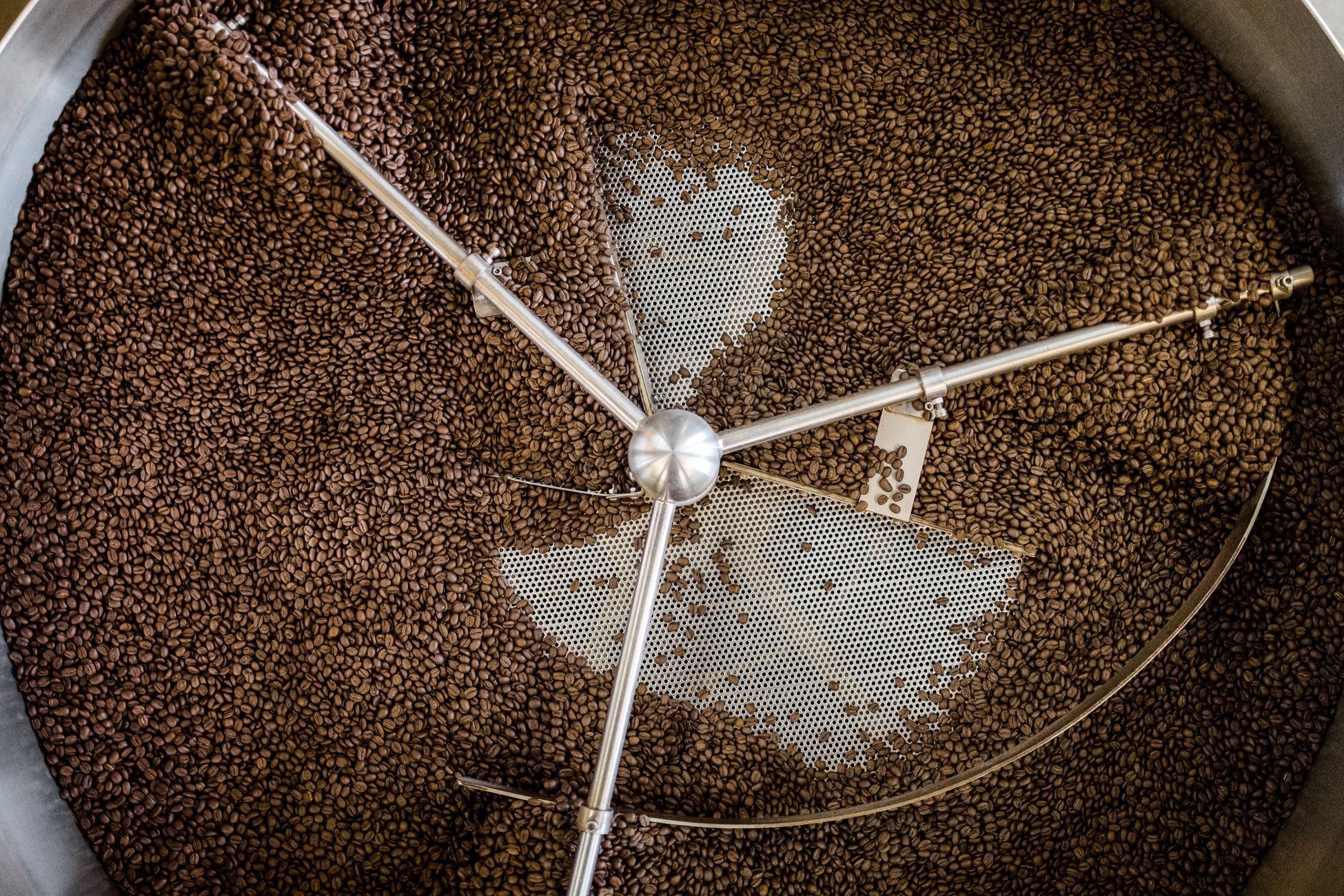 High angle view of coffee beans cooling in a roasting machine tray in Greensboro, NC.