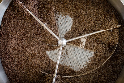 High angle view of coffee beans cooling in a roasting machine tray in Greensboro, NC.