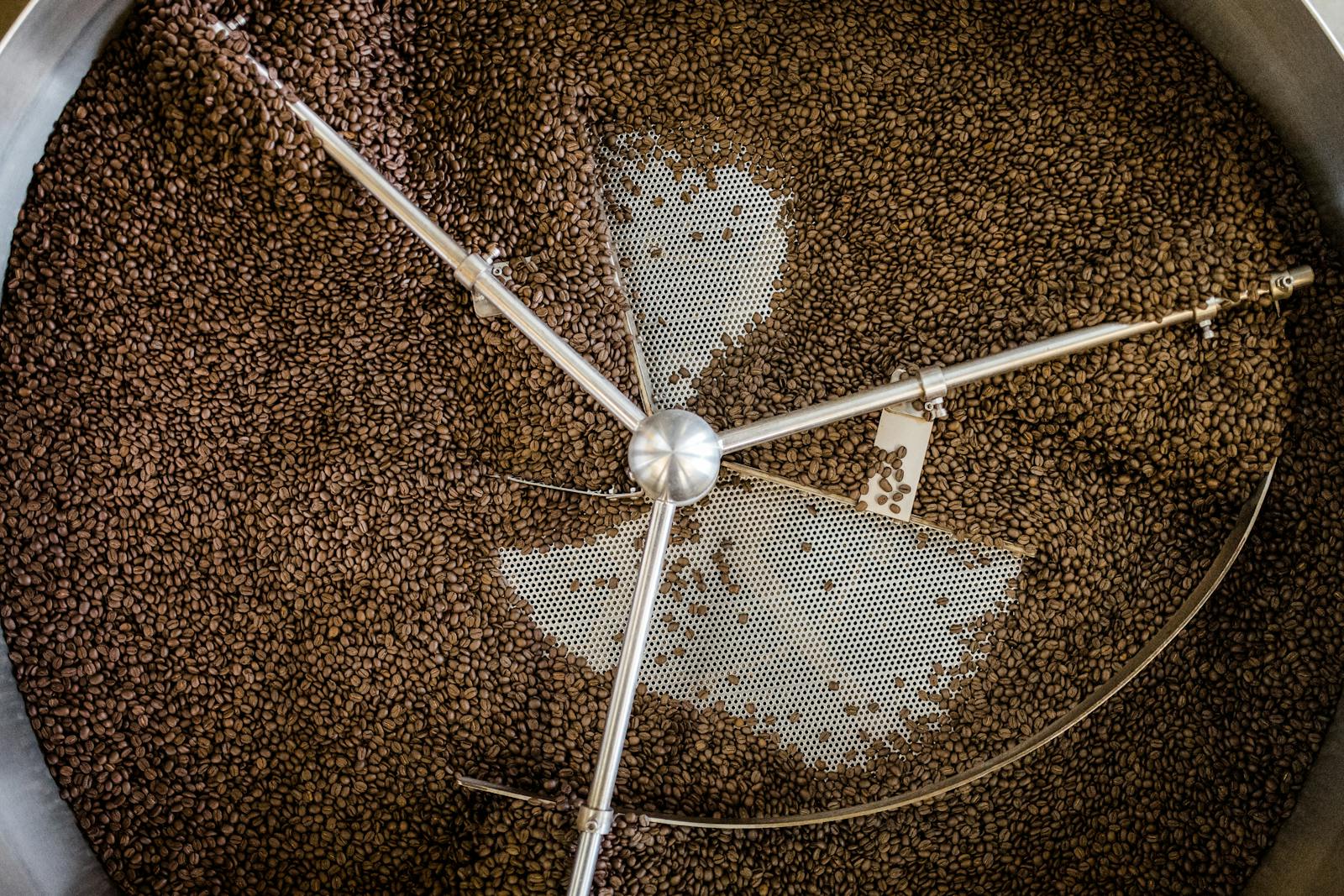 Roasted coffee beans cooling in a large metal tray after roasting