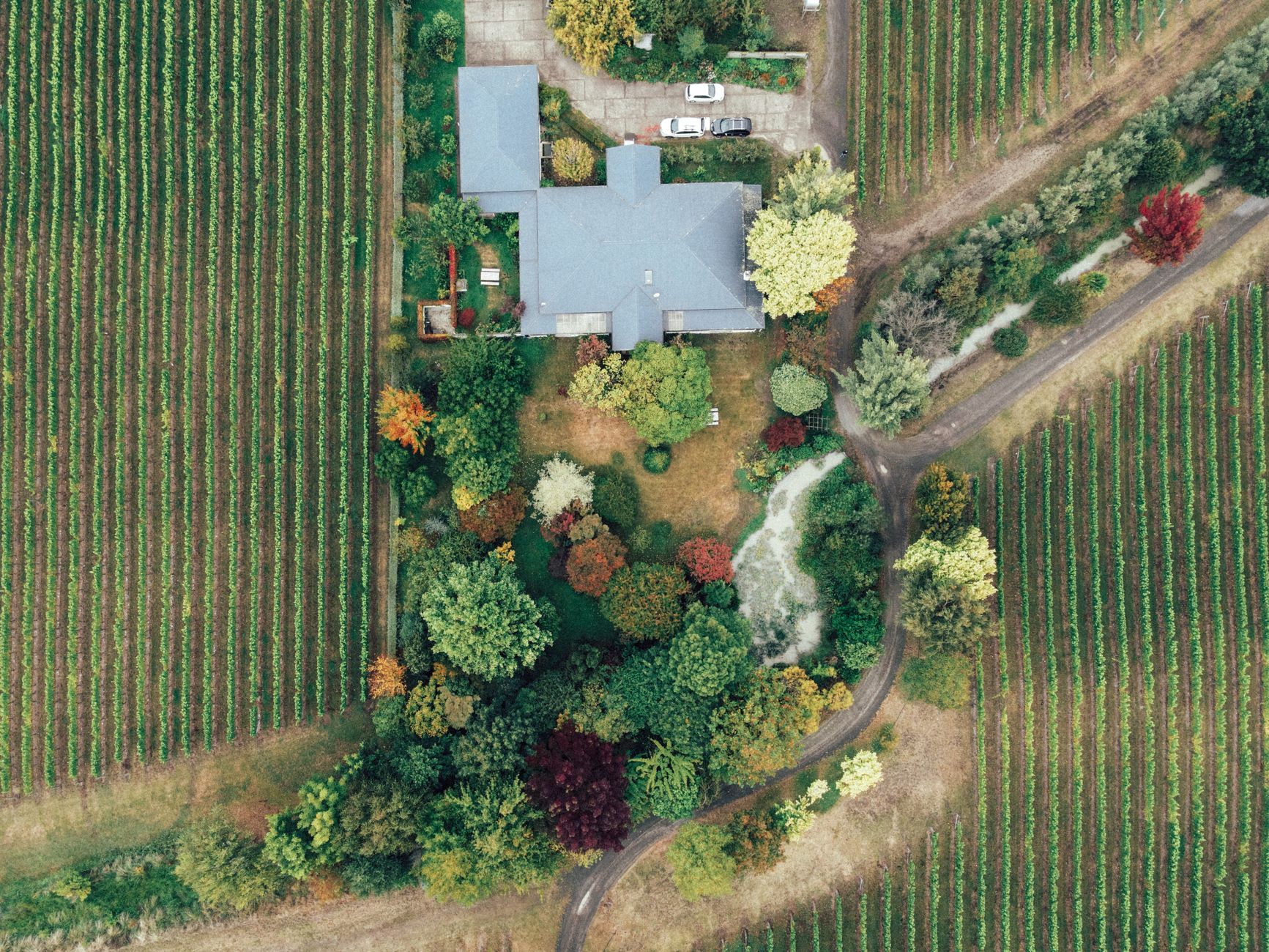 Heritage Mango Orchard Estate