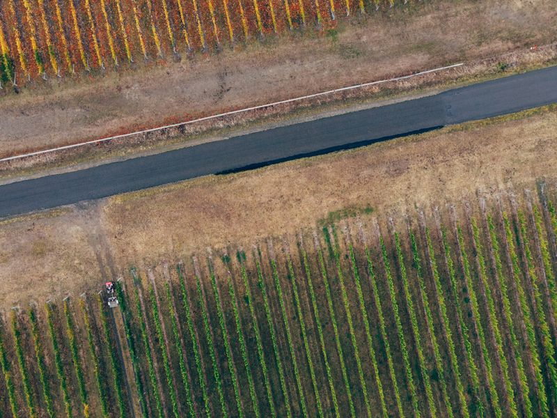 Reduce el coste de tus seguros agrarios