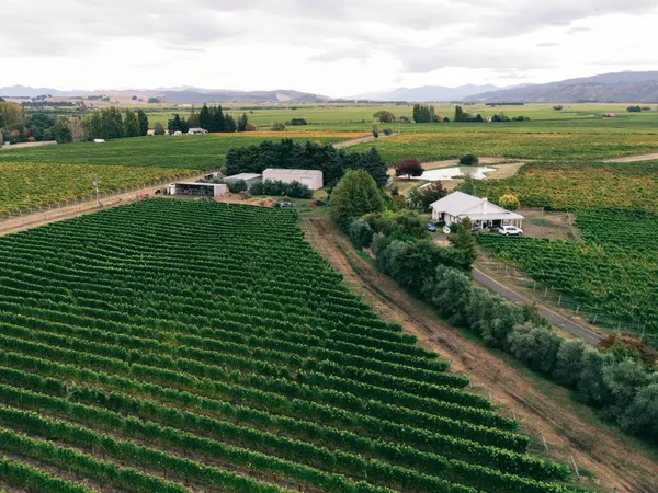 Renwick, Marlborough