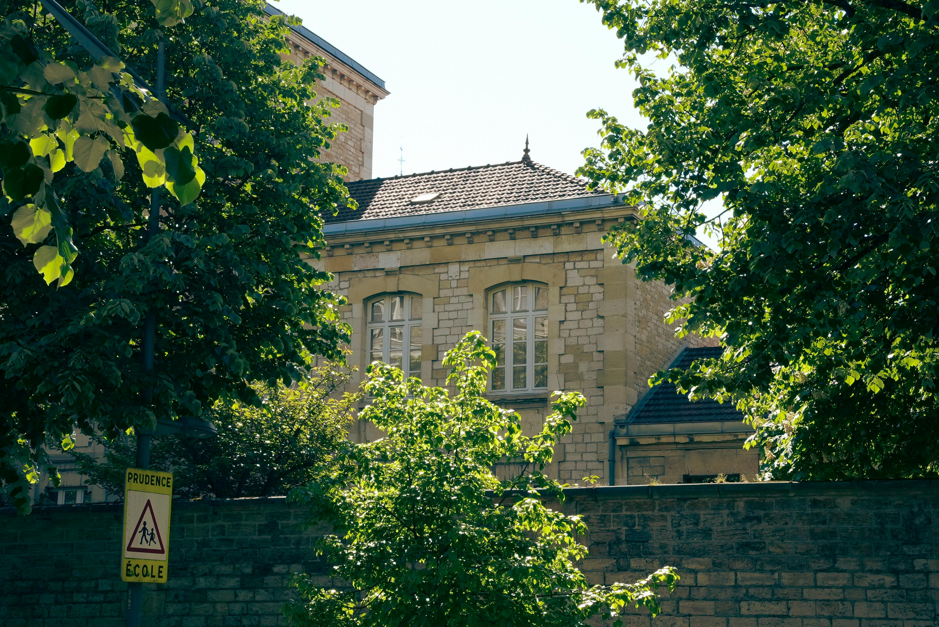 A charming stone building hidden among vibrant trees with a school sign nearby, captured on a sunny day.