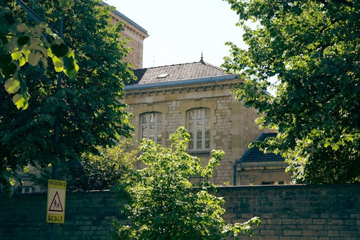 A charming stone building hidden among vibrant trees with a school sign nearby, captured on a sunny day.