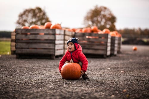 Selective Focus Photography of Boy Carrying Orange Pumpkin