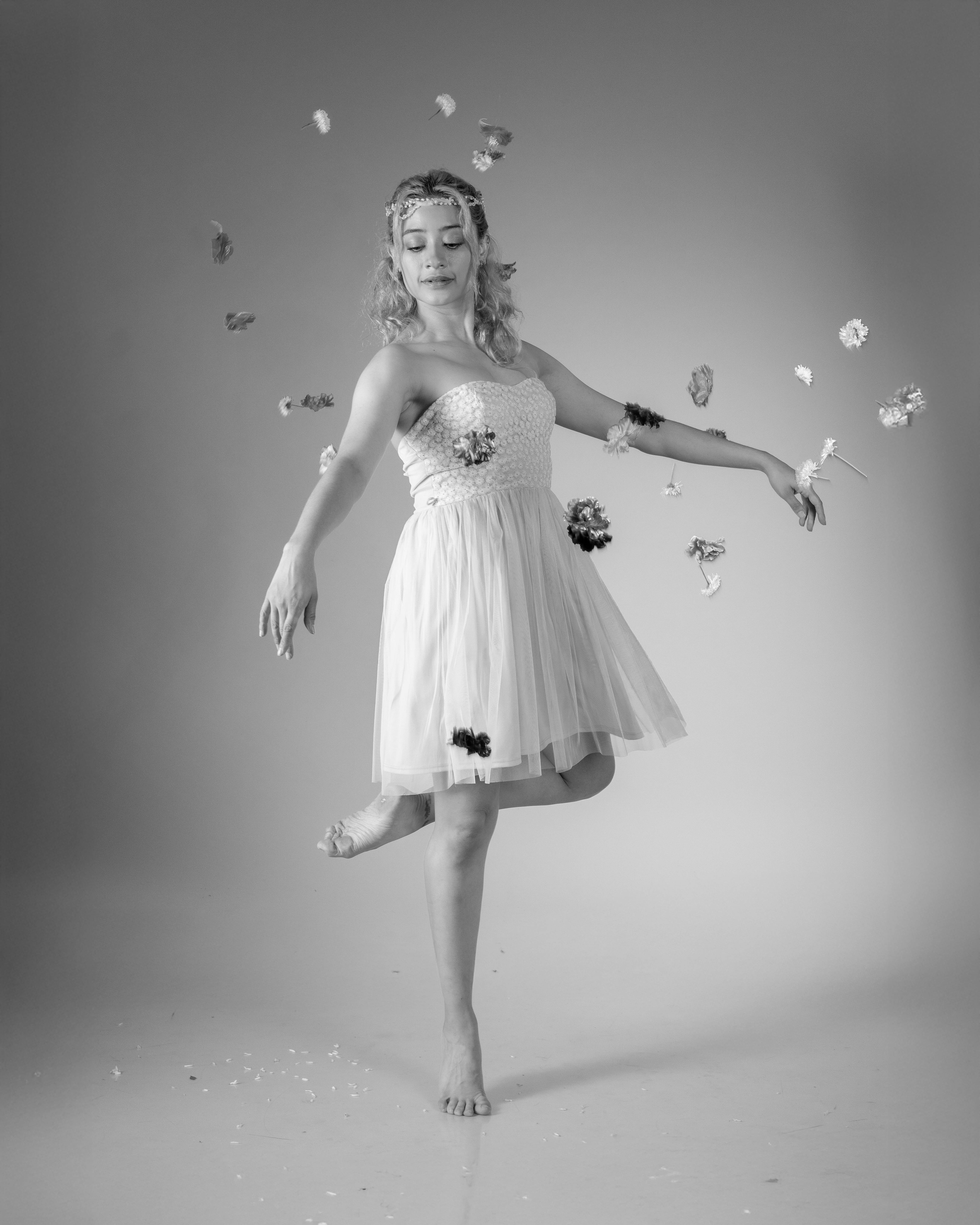 Lap+Dance+Gifs Photos, Download The BEST Free Lap+Dance+Gifs Stock Photos & HD Images