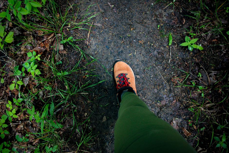 Allen Parks & Trails: An Outdoor Guide