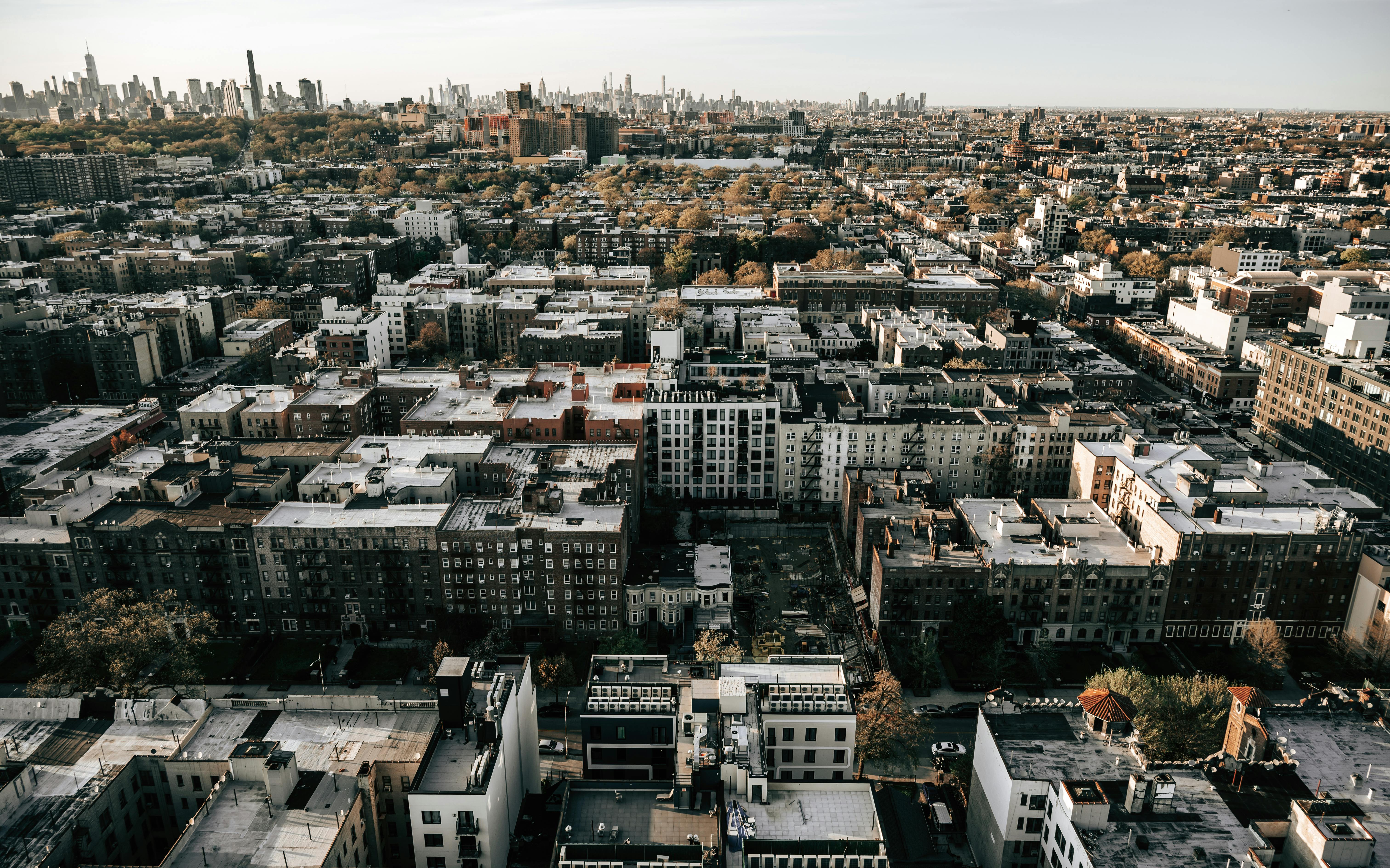 brooklyn dispensary map - how to get weed in brooklyn