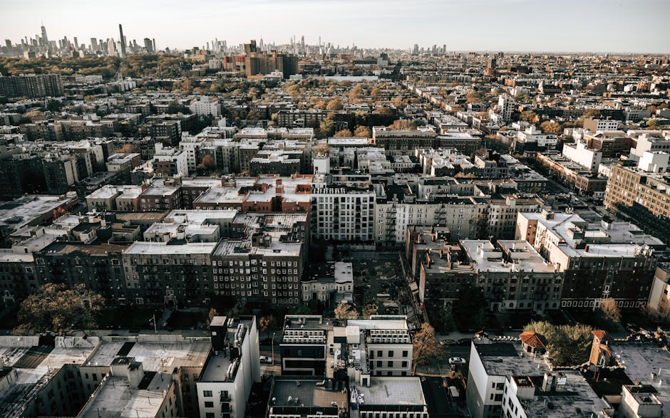 brooklyn dispensary map - how to get weed in brooklyn