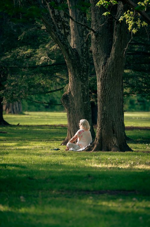 Free Relaxed senior woman sitting under a tree in a lush park, enjoying nature's tranquility. Stock Photo