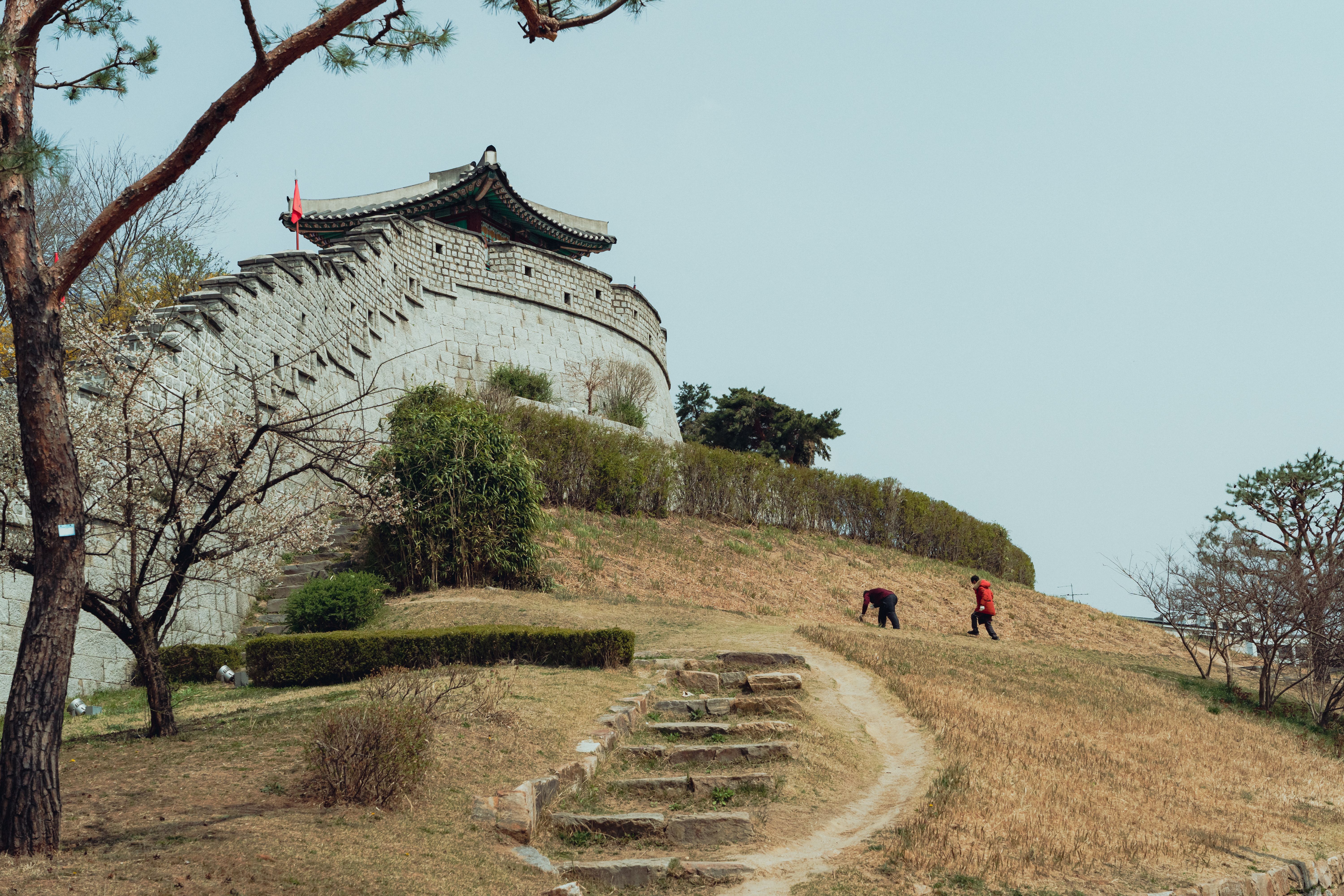 Explore the scenic view of a historic Korean fortress wall in Seoul, South Korea.