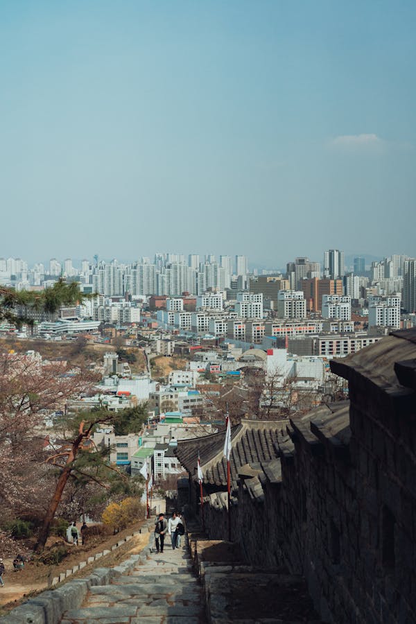 티켓 3이미지