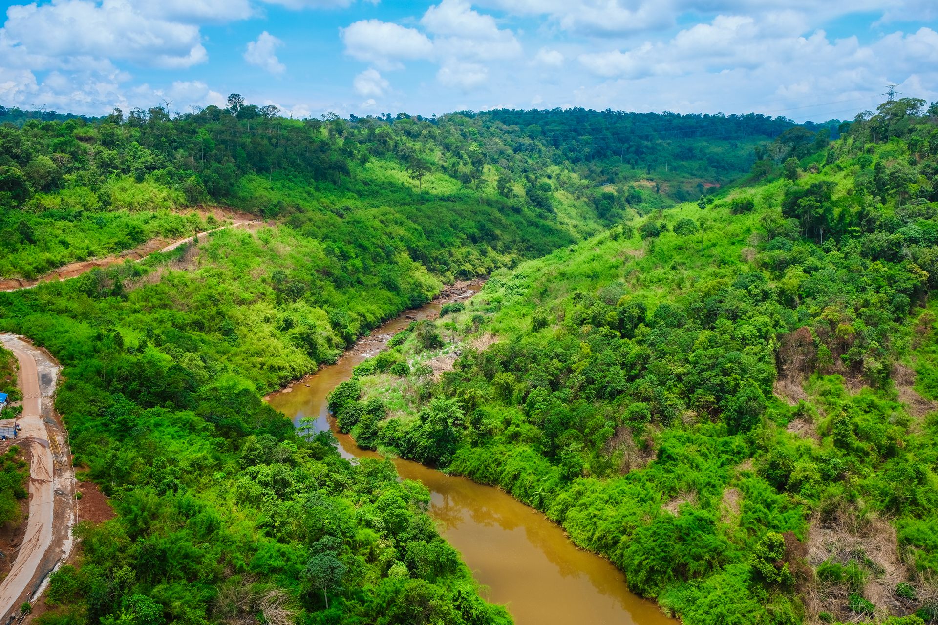 Selva exuberante y un río en la cuenca del Congo
