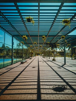 钢梁下悬挂着植物和引人注目的阴影图案，构成了城市道路的透视图