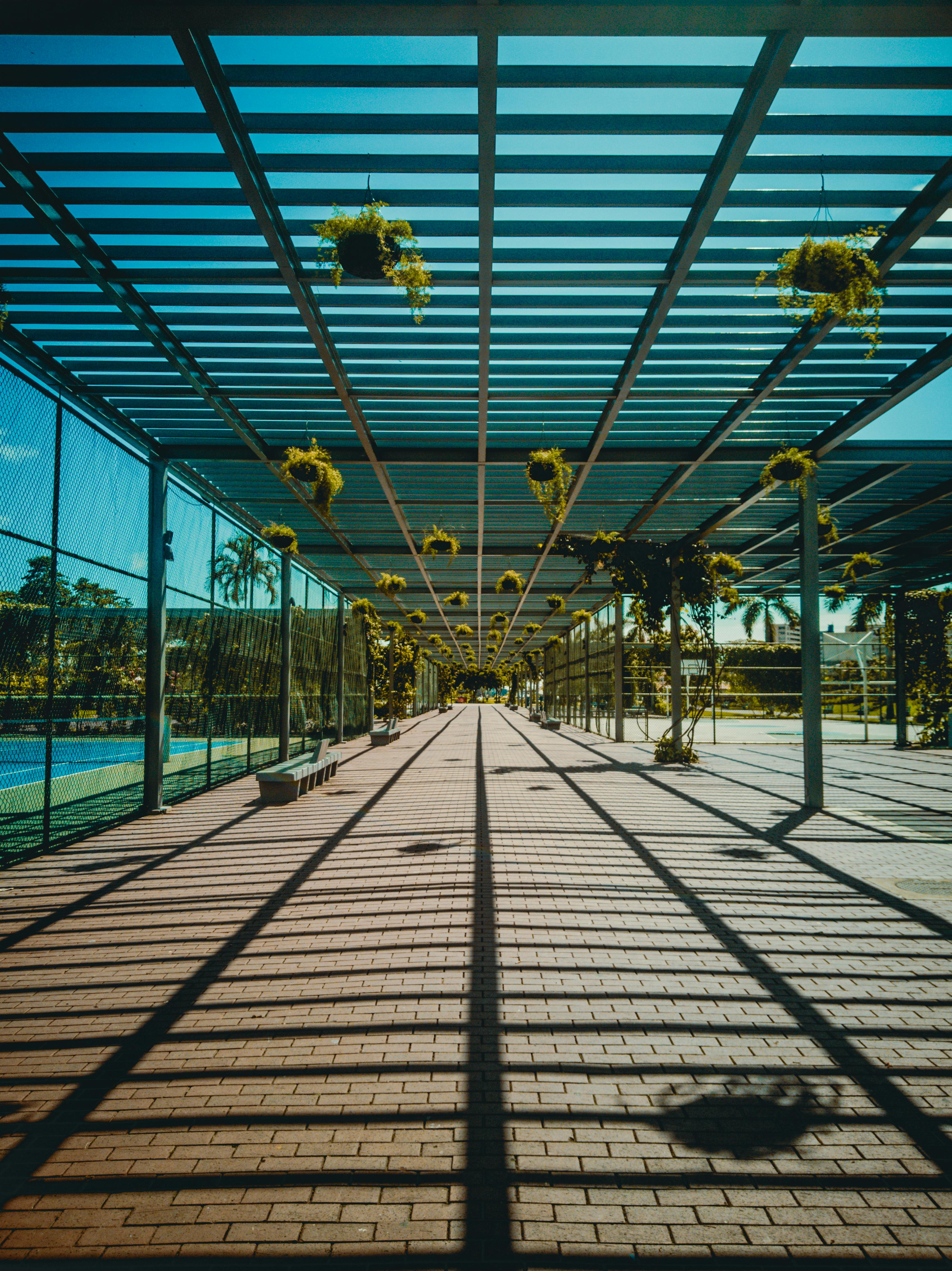 Hanging Plants on the Walkway \u00b7 Free Stock Photo