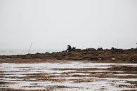 退潮时，一位孤独的渔夫坐在岩石海岸上，周围海景宁静
