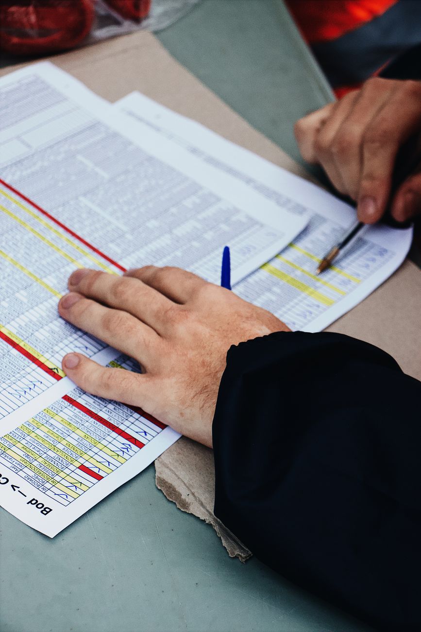 spreadsheet data rows columns organized