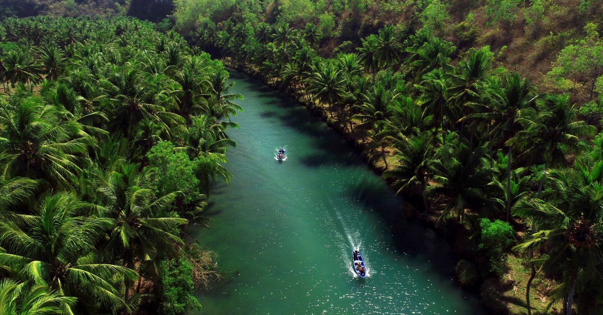 Aerial View of Tropical River in Indonesia's Java · Free Stock Photo