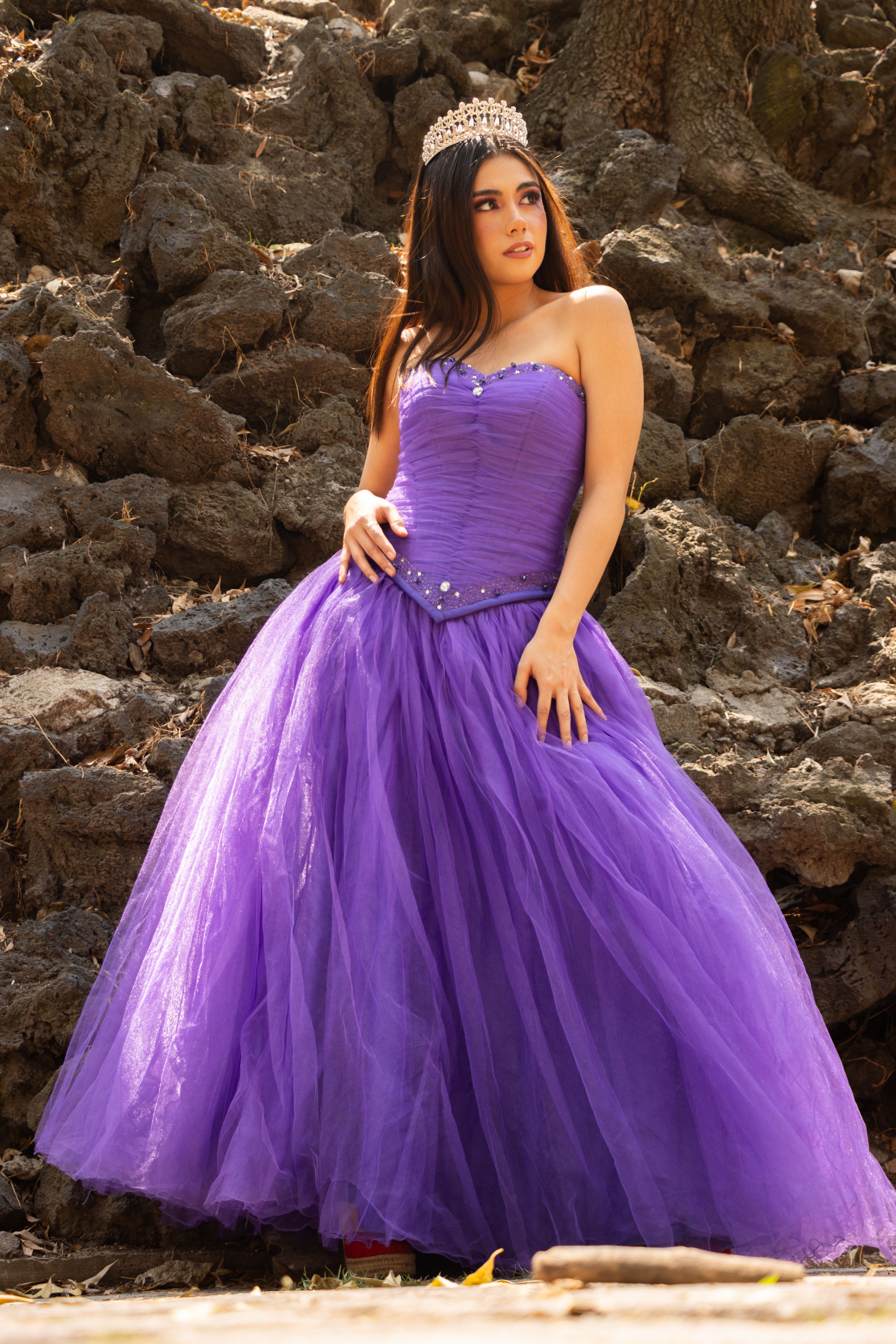 Elegant Woman in Purple Ball Gown Outdoors · Free Stock Photo