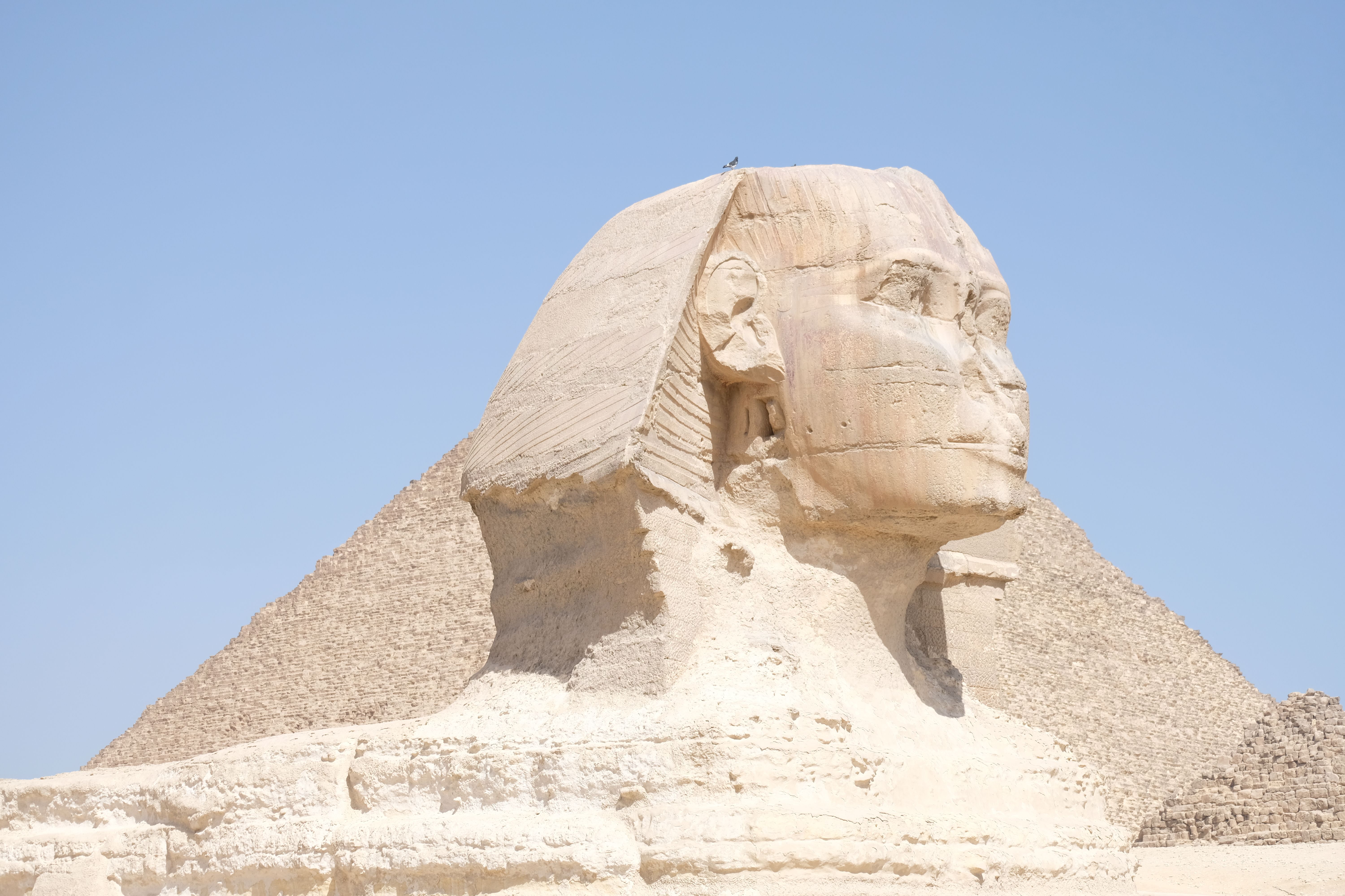 Great Sphinx of Giza in Bright Daylight · Free Stock Photo