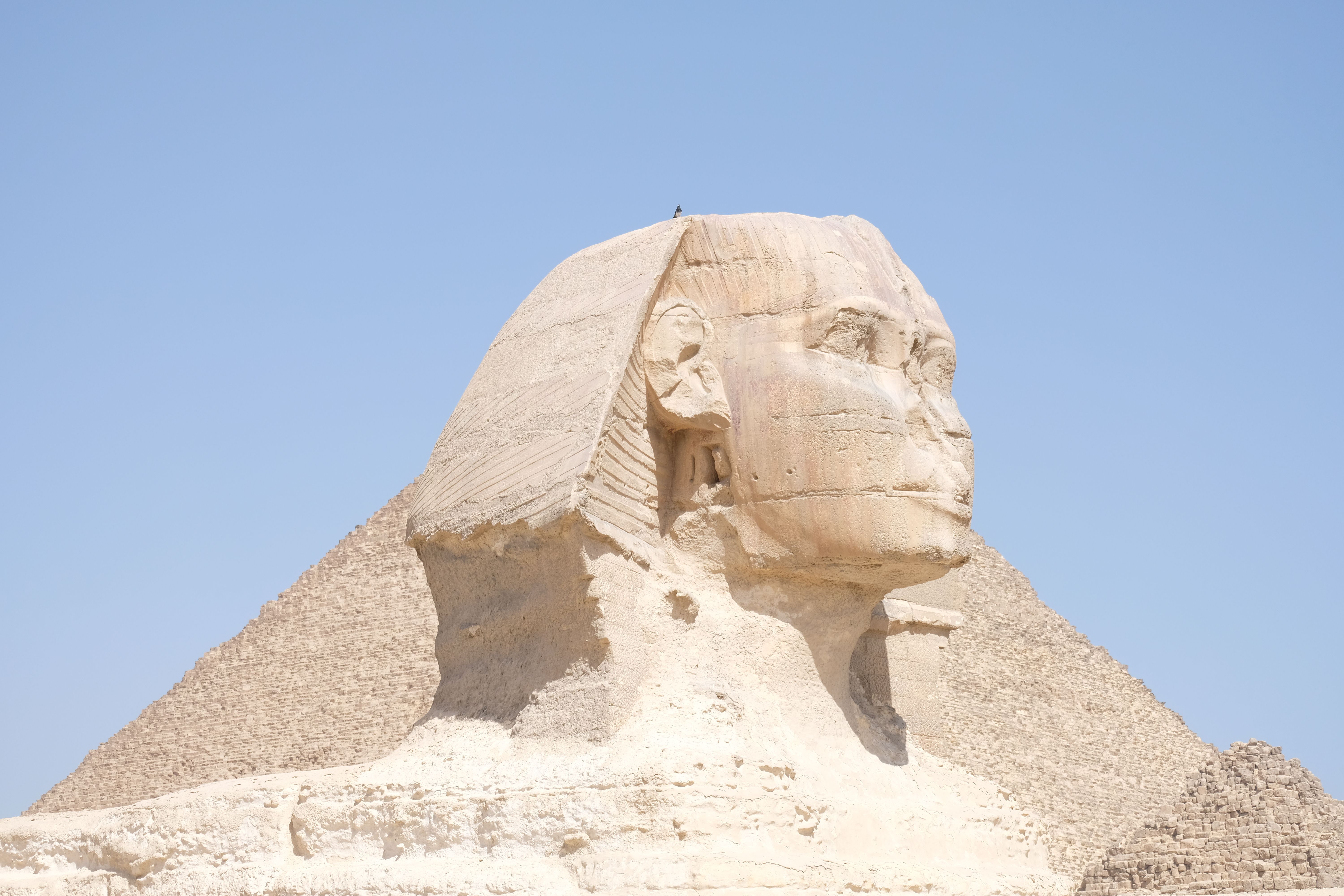 The Great Sphinx of Giza and Pyramid · Free Stock Photo