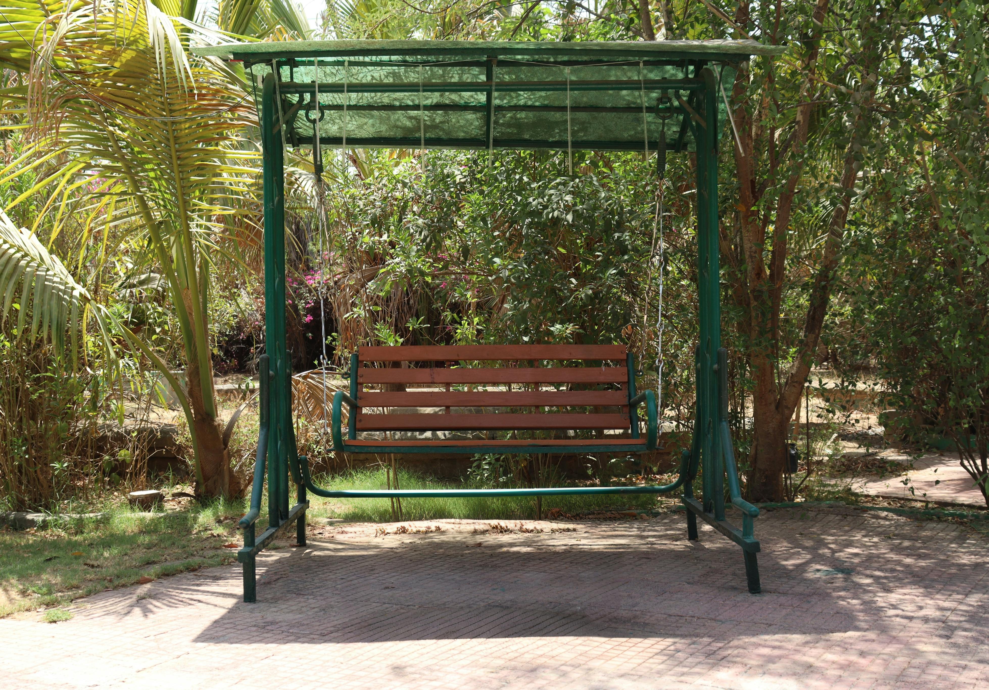 A wooden garden swing set amidst lush greenery in Ahmedabad, India, offering a peaceful retreat.