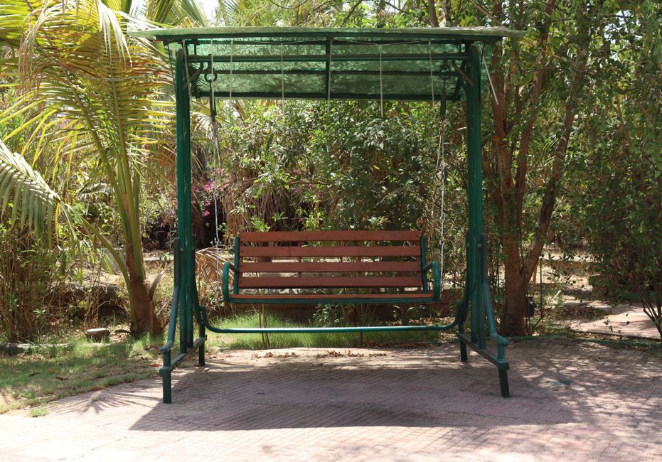 A wooden garden swing set amidst lush greenery in Ahmedabad, India, offering a peaceful retreat.