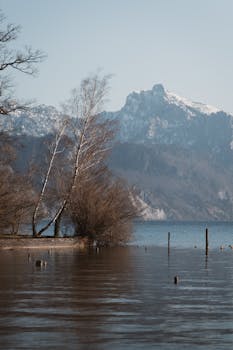 Peaceful winter scene with a calm lake, snow-capped mountains, and bare trees reflecting in water.