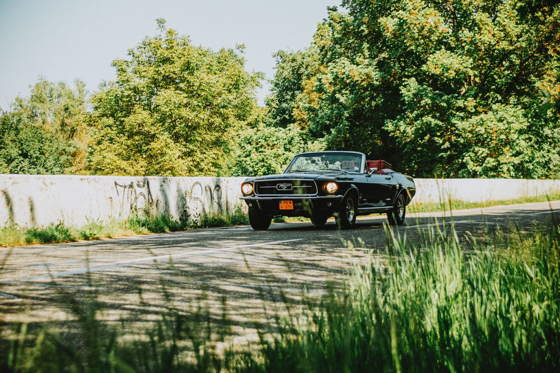 Classic Convertible on a Sunny Road Trip · Free Stock Photo