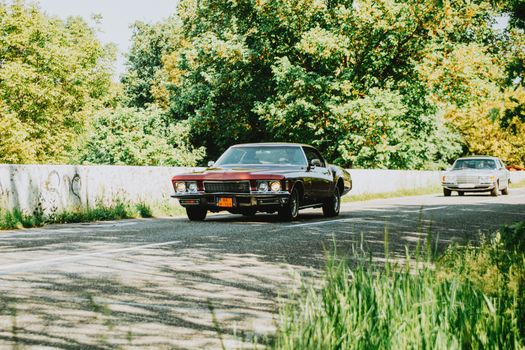 Vintage cars driving on a scenic country road surrounded by lush green trees and sunshine.