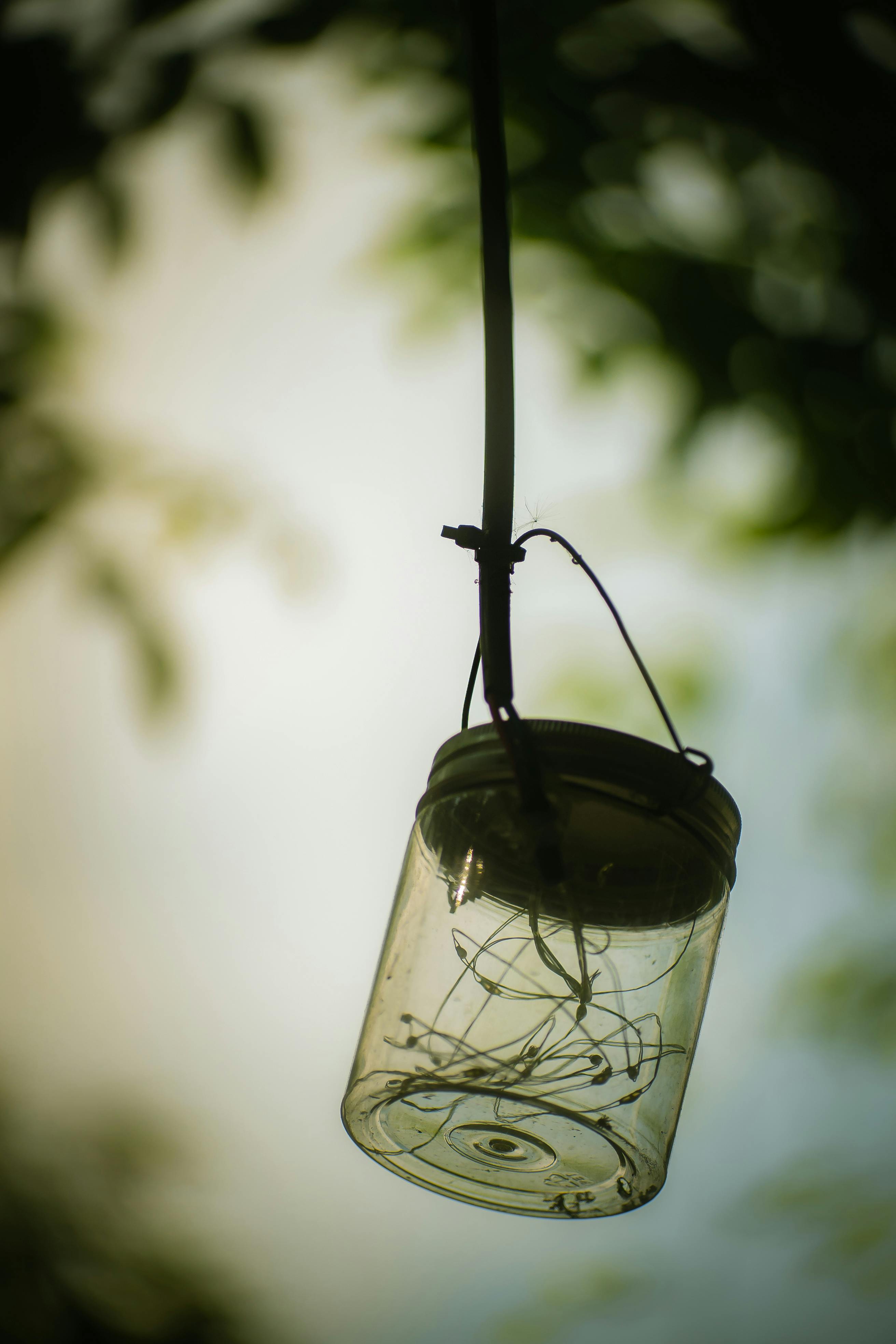 Hanging Breasts Photos, Download The BEST Free Hanging Breasts Stock Photos & HD Images