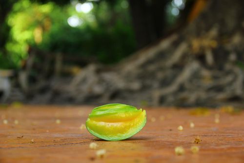 Free star apple Stock Photo