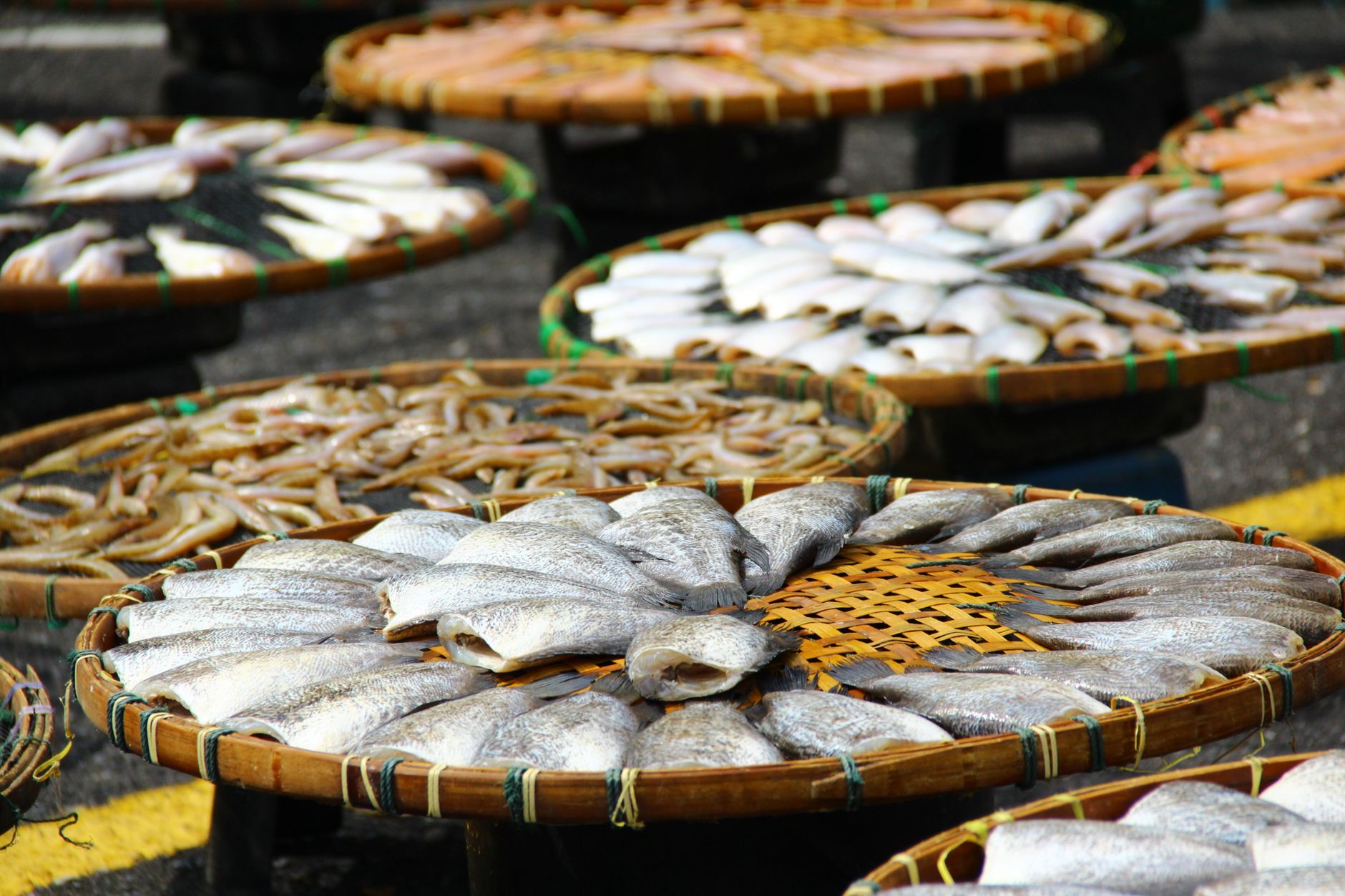 New Strategies Drive Sustainability in Seafood Fishing Industry
