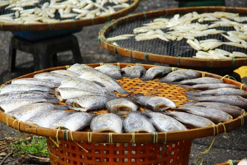 Free dried fish Stock Photo