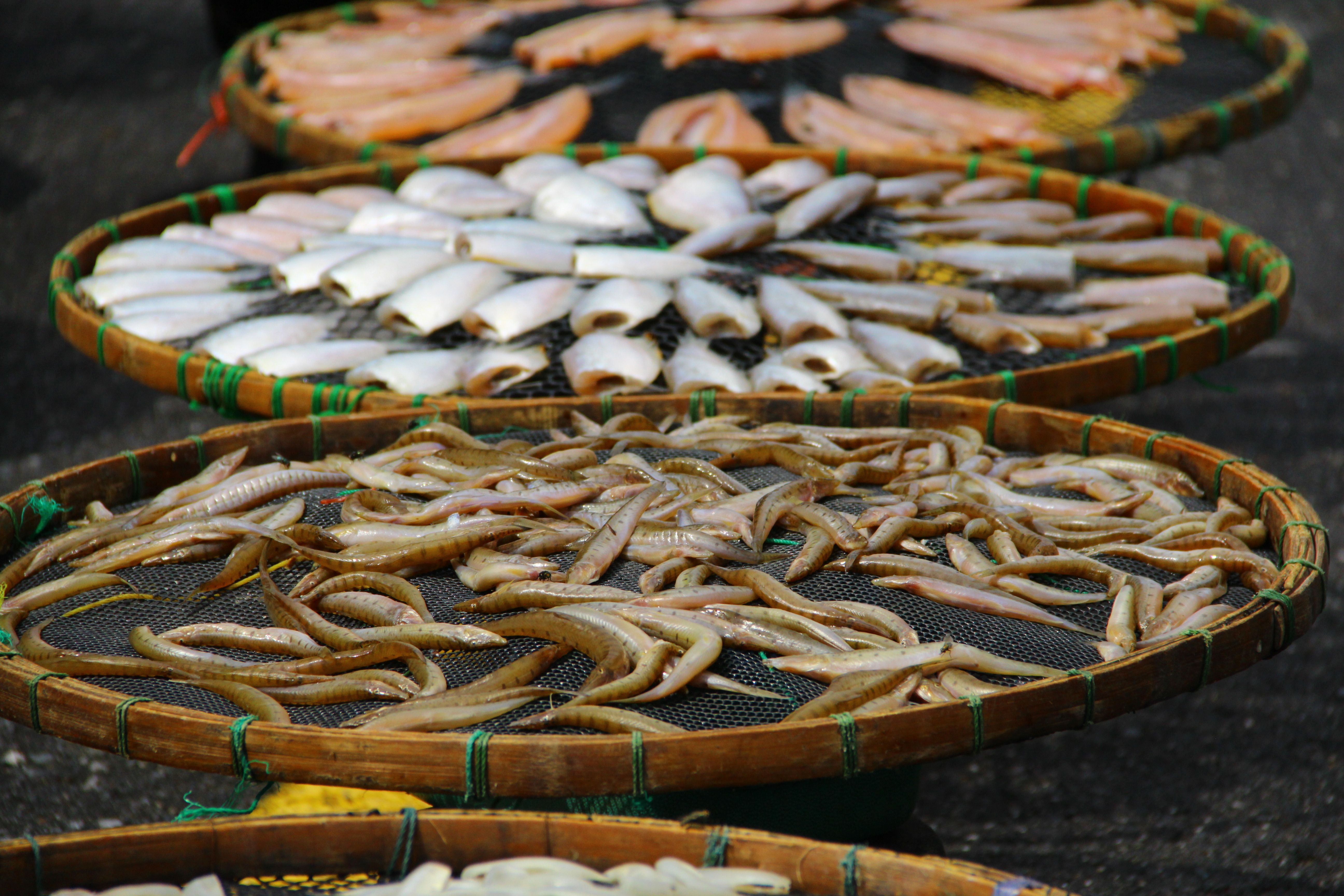 Seafood Galway: Panduan Kuliner Laut Otentik di Pesisir Barat Irlandia