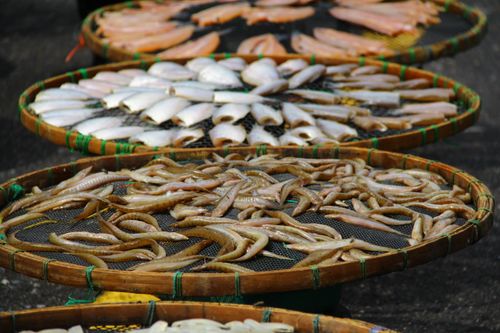 Free Various fresh fish drying on bamboo trays outdoors, showcasing traditional preservation techniques. Stock Photo